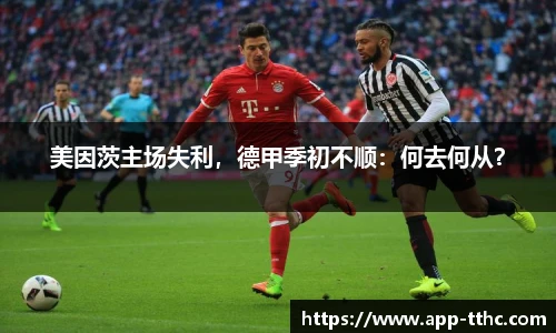 澳门天天好彩官网