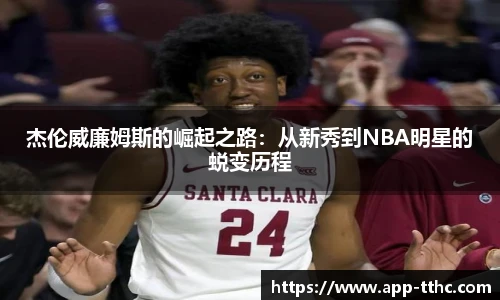 澳门天天好彩官网