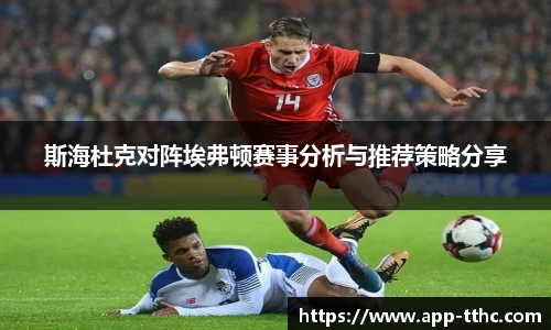 斯海杜克对阵埃弗顿赛事分析与推荐策略分享